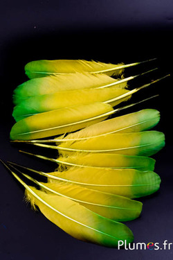 Cygne Soie - 25-30 cm - olive clair-vert
